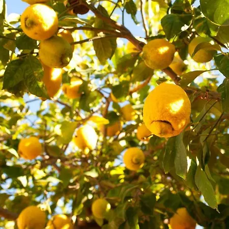 Appartamento Masseria Loria
